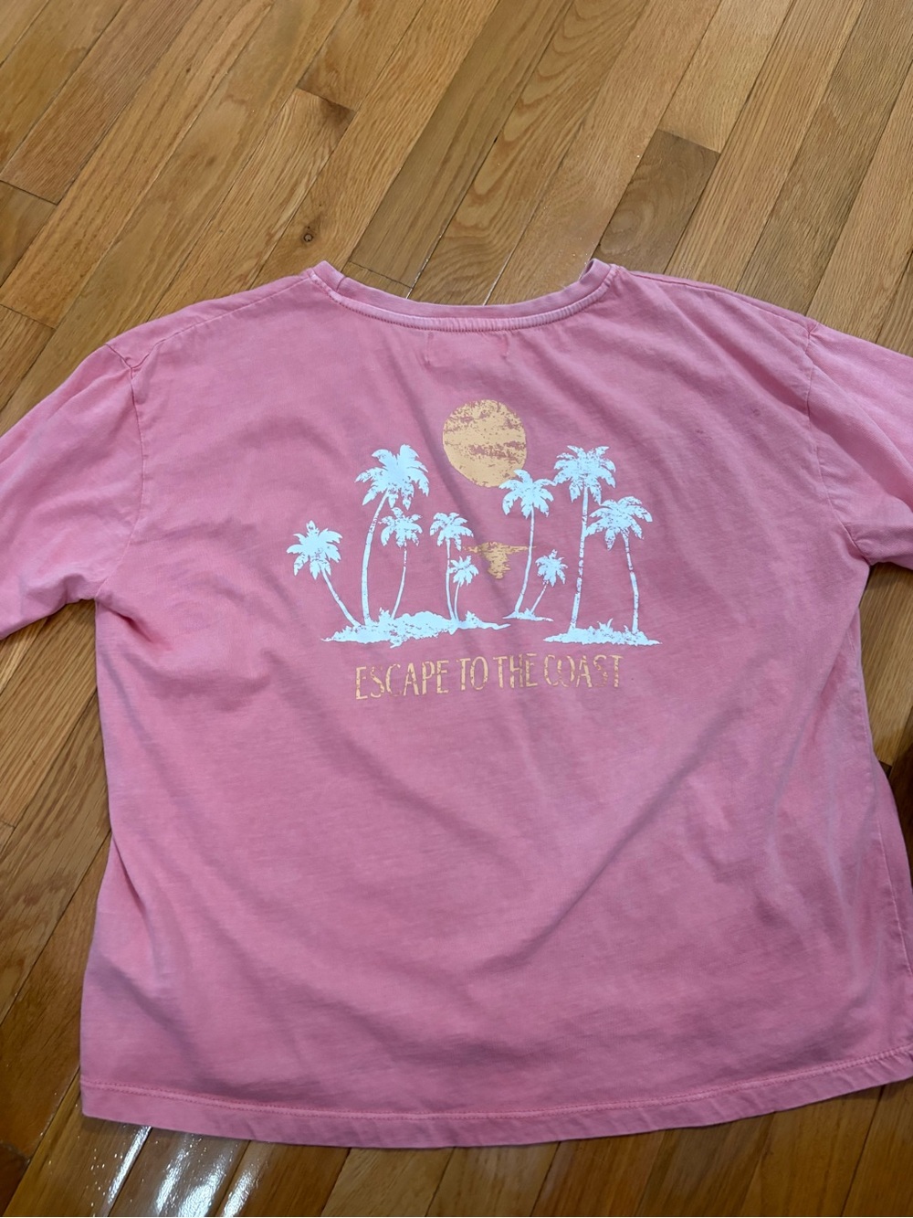 C&C California Graphic Tee